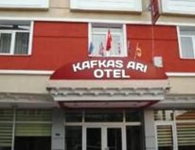 фото отеля Kafkas Ari Hotel