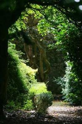 фото отеля Hotel Dunloe Castle