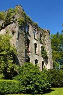 фото отеля Hotel Dunloe Castle