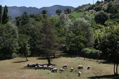 фото отеля Agriturismo Il Castello