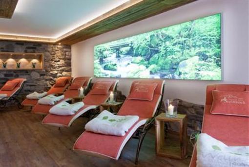 фото отеля Hotel Steinbock Mittelberg