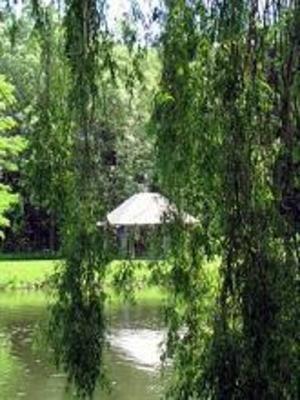 фото отеля Willow Pond Country Bed and Breakfast
