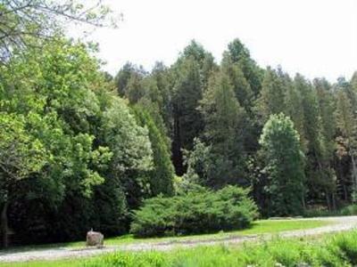 фото отеля Willow Pond Country Bed and Breakfast