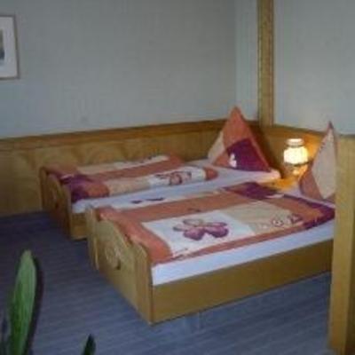 фото отеля Hotel Palzer Buwe Hassloch