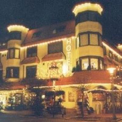 фото отеля Hotel Palzer Buwe Hassloch