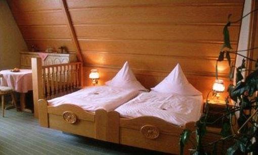 фото отеля Hotel Palzer Buwe Hassloch
