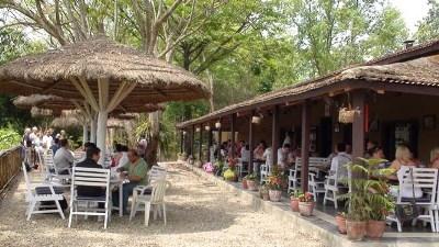 фото отеля Safari Narayani Lodge Chitwan