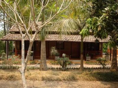 фото отеля Safari Narayani Lodge Chitwan
