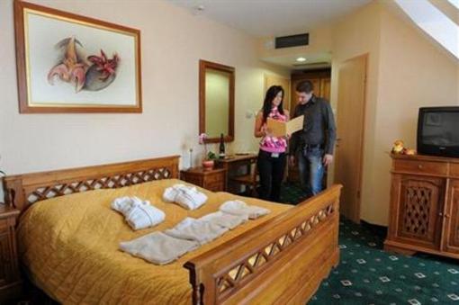 фото отеля Orchidea Hotel