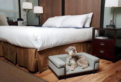 фото отеля Hampton Inn and Suites Columbia South