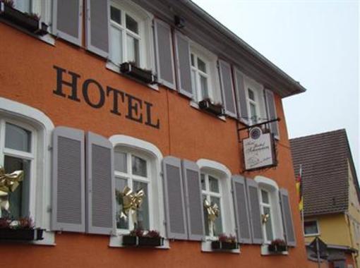 фото отеля Gasthof Hotel Schwanen Neuried