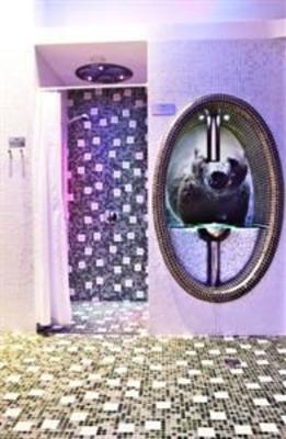 фото отеля Hotel Astrum Laus
