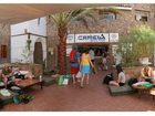 фото отеля Camel Hotel Sharm el-Sheikh
