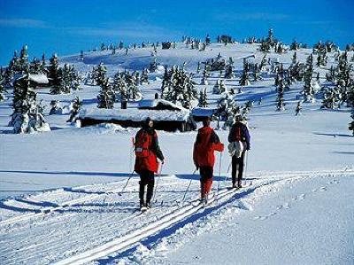 фото отеля Nordseter Fjellstue & Hytter