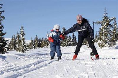 фото отеля Nordseter Fjellstue & Hytter