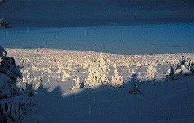 фото отеля Nordseter Fjellstue & Hytter