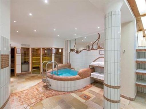 фото отеля Hotel Alpina Deluxe