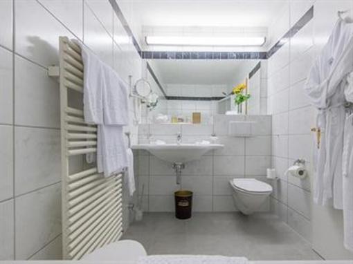 фото отеля Hotel Alpina Deluxe