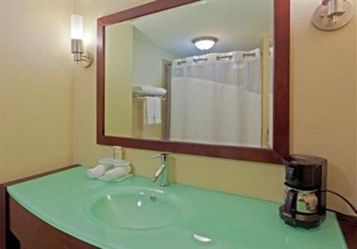 фото отеля Holiday Inn Express Hotel & Suites South Charleston