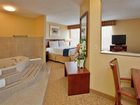 фото отеля Holiday Inn Express Hotel & Suites Fenton (Missouri)