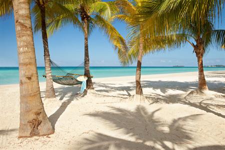 фото отеля Couples Swept Away Negril