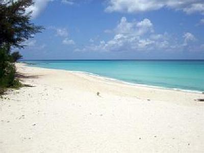 фото отеля Bimini Big Game Club - Guy Harvey Outpost