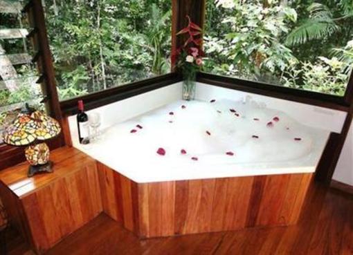фото отеля The Canopy Rainforest Treehouses and Wildlife Sanctuary