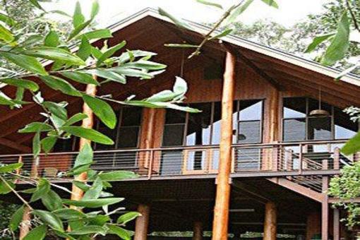 фото отеля The Canopy Rainforest Treehouses and Wildlife Sanctuary