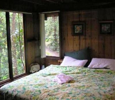 фото отеля The Canopy Rainforest Treehouses and Wildlife Sanctuary