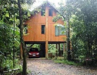фото отеля The Canopy Rainforest Treehouses and Wildlife Sanctuary