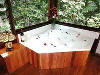 The Canopy Rainforest Treehouses and Wildlife Sanctuary