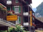 фото отеля Hotel Oberland Lauterbrunnen