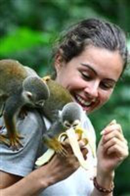 фото отеля The Amazon Bed & Breakfast