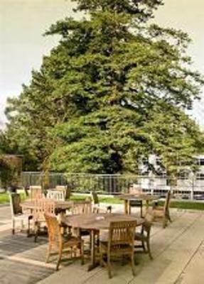 фото отеля Macdonald Berystede Hotel & Spa