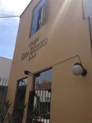фото отеля Oro Bianco Hostel