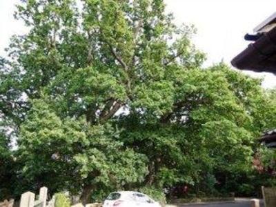 фото отеля Twin Oaks B&B