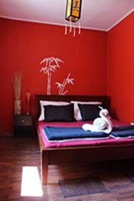фото отеля The Drunken Monkey Hostel