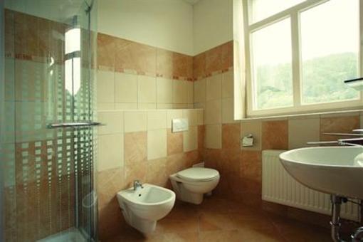 фото отеля Hotel Samechov