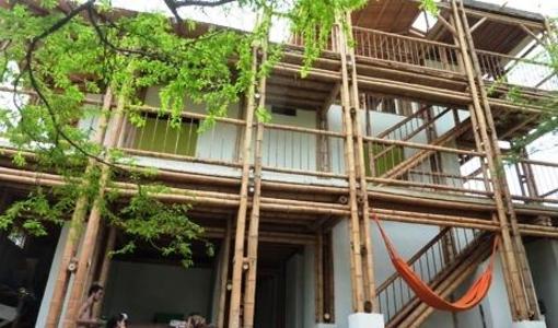 фото отеля La Tortuga Hostel