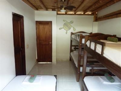 фото отеля La Tortuga Hostel