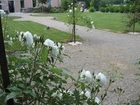 фото отеля La Ferme de Bourran