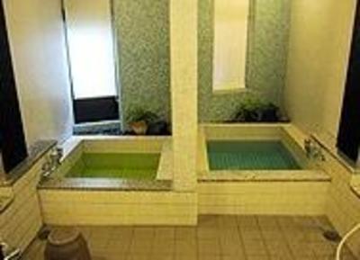 фото отеля Daibutsu Ryokan Hotel Takaoka