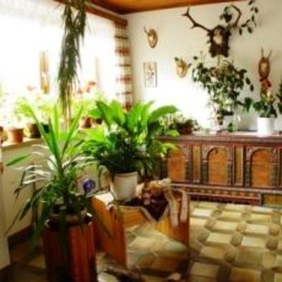фото отеля Bauernhof Tamerburgerhof