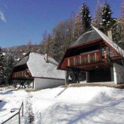 фото отеля Ferienhauser Brunnleiten Hutte