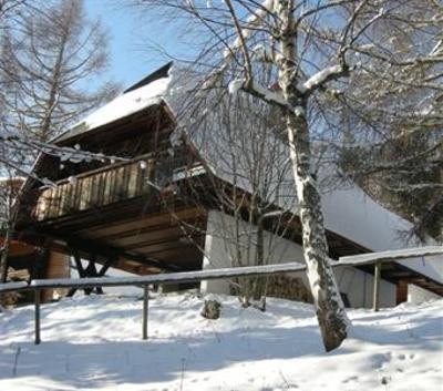 фото отеля Ferienhauser Brunnleiten Hutte
