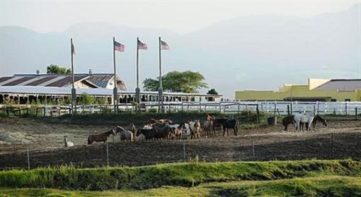 фото отеля El Patio Ranch