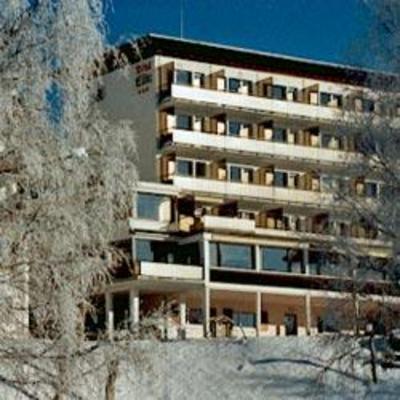 фото отеля Hotel Elite Crans-Montana