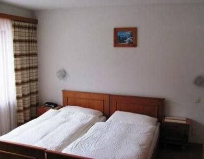 фото отеля Adler Hotel Saas-Grund