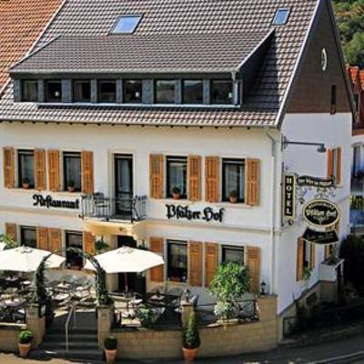 фото отеля Hotel Pfalzer Hof Lauterecken
