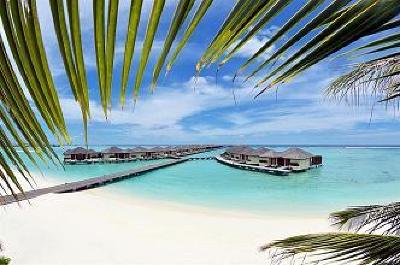 фото отеля Paradise Island Resort & Spa